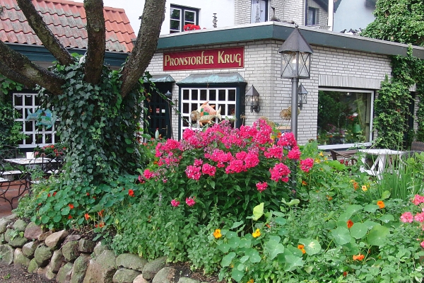 Hotel Pronstorfer Krug
